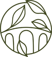 Labyrintem medicíny k uzdravení